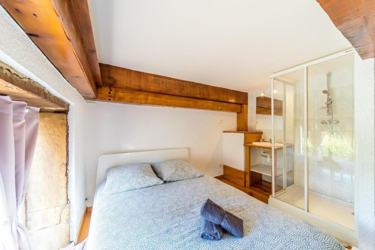 The Charming Fleury 2 Bedrooms Oullins Exterior photo